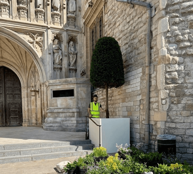 Ethan with topiary at Westminster Abbey for the coronation