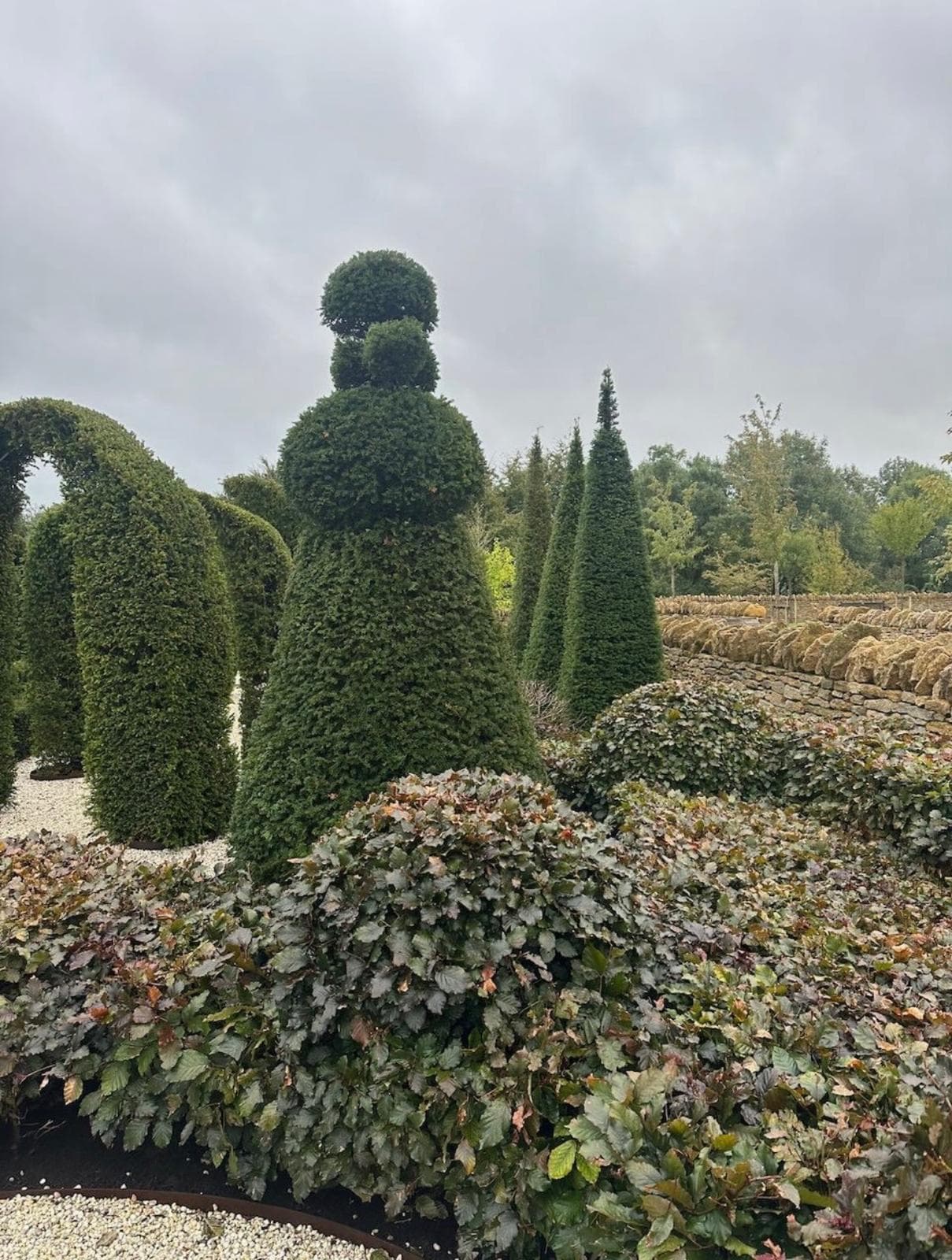 Topiary nursery display