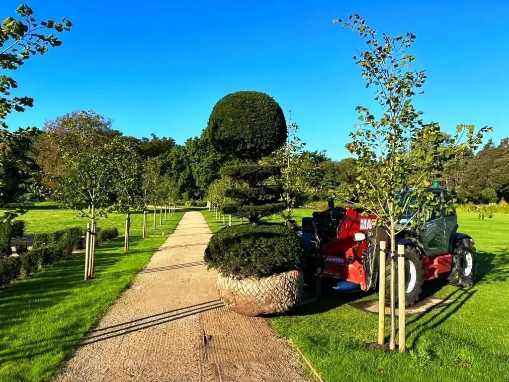 Positioning large topiary specimens