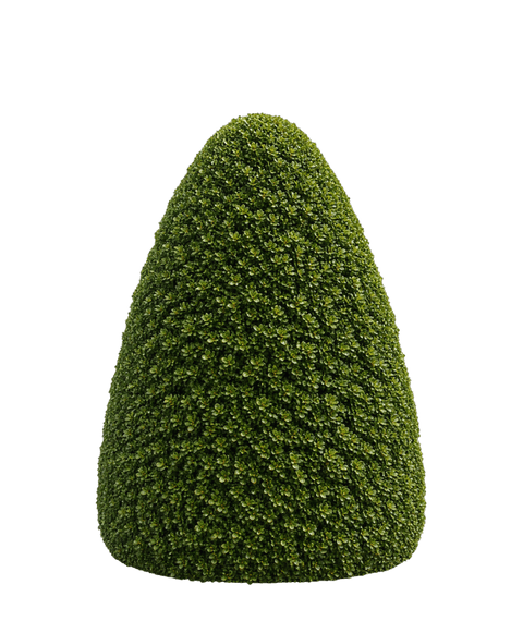 Beehive topiary form