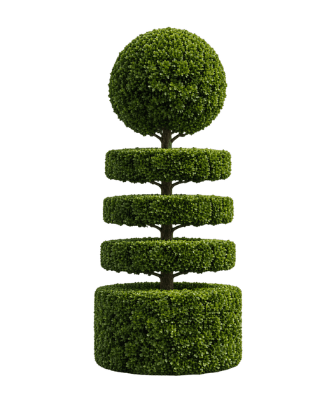 Bespoke tiered topiary specimen