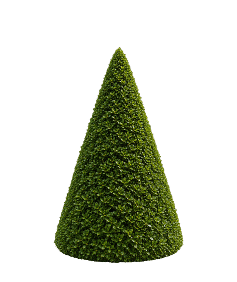 Cone topiary form