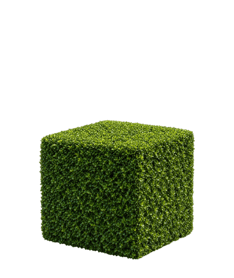 Cube topiary form