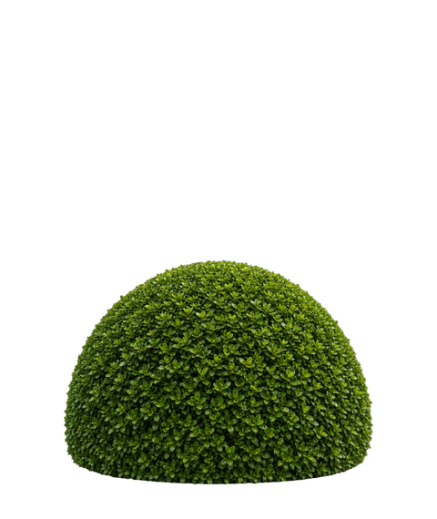 Dome topiary form