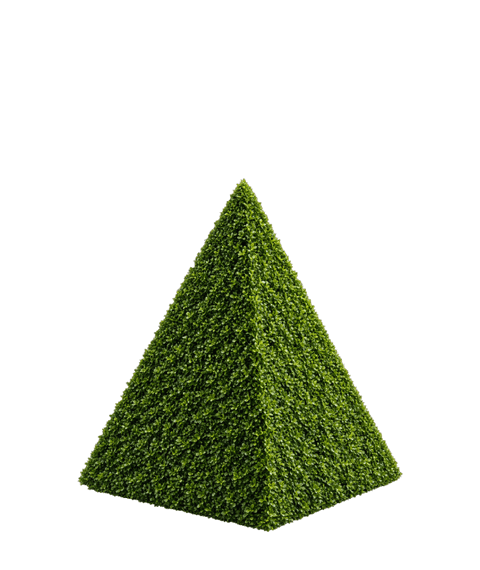 Pyramid topiary form