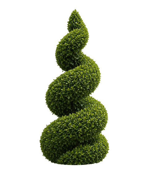 Spiral topiary form