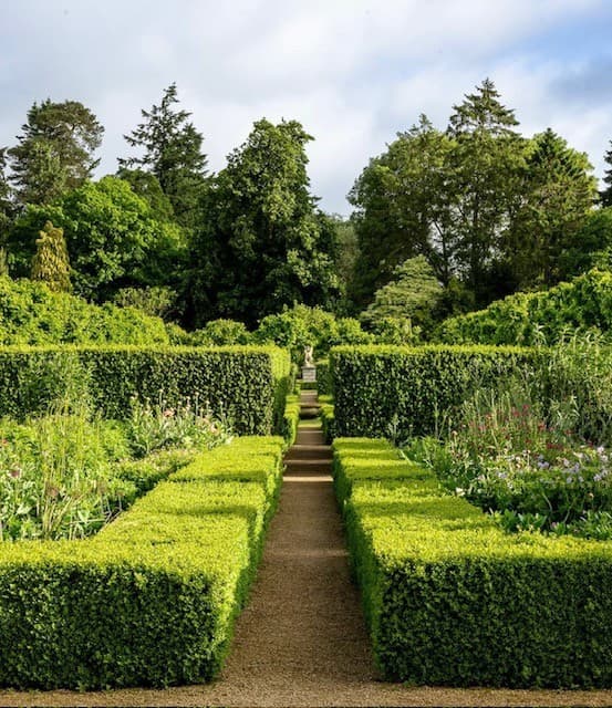 Formal clipped hedge garden with gravel path