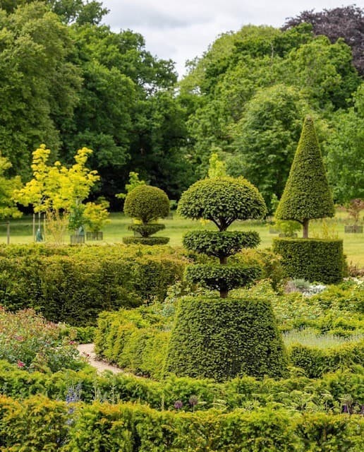 Formal garden with sculpted topiary forms