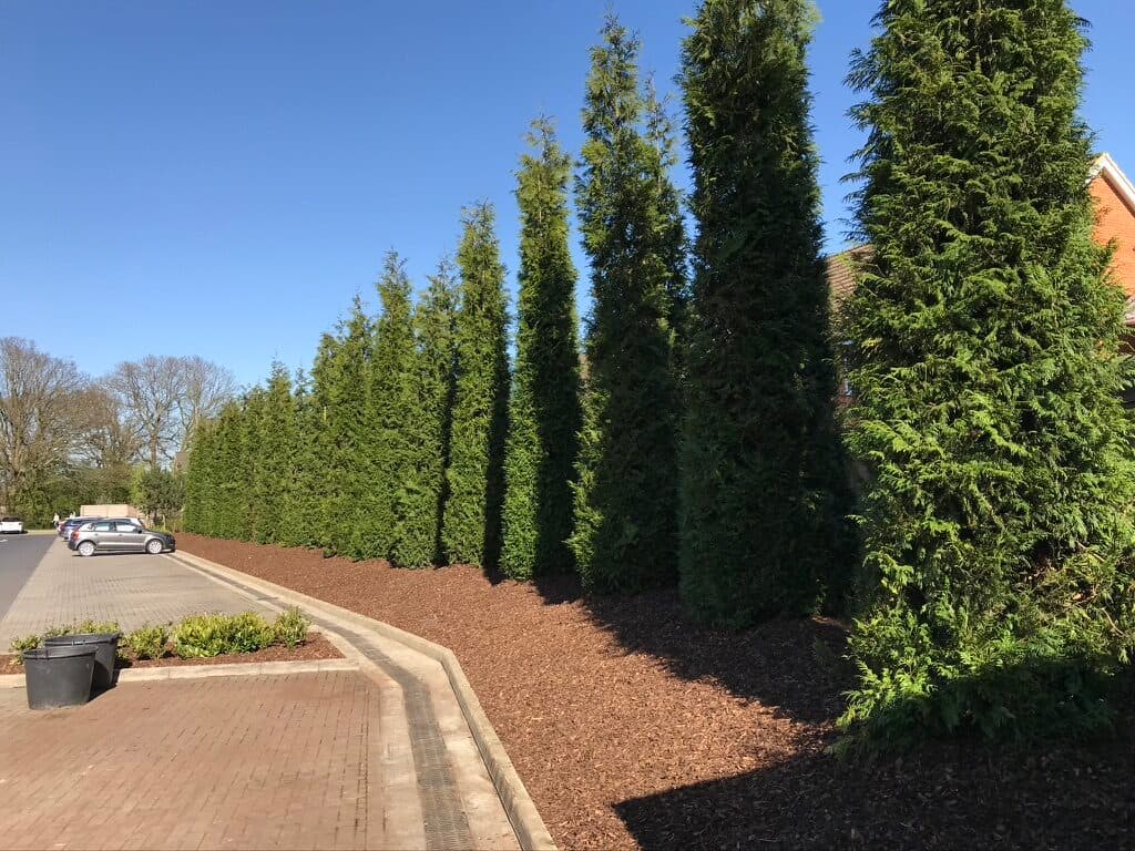 Hedging project by Hedgeworx