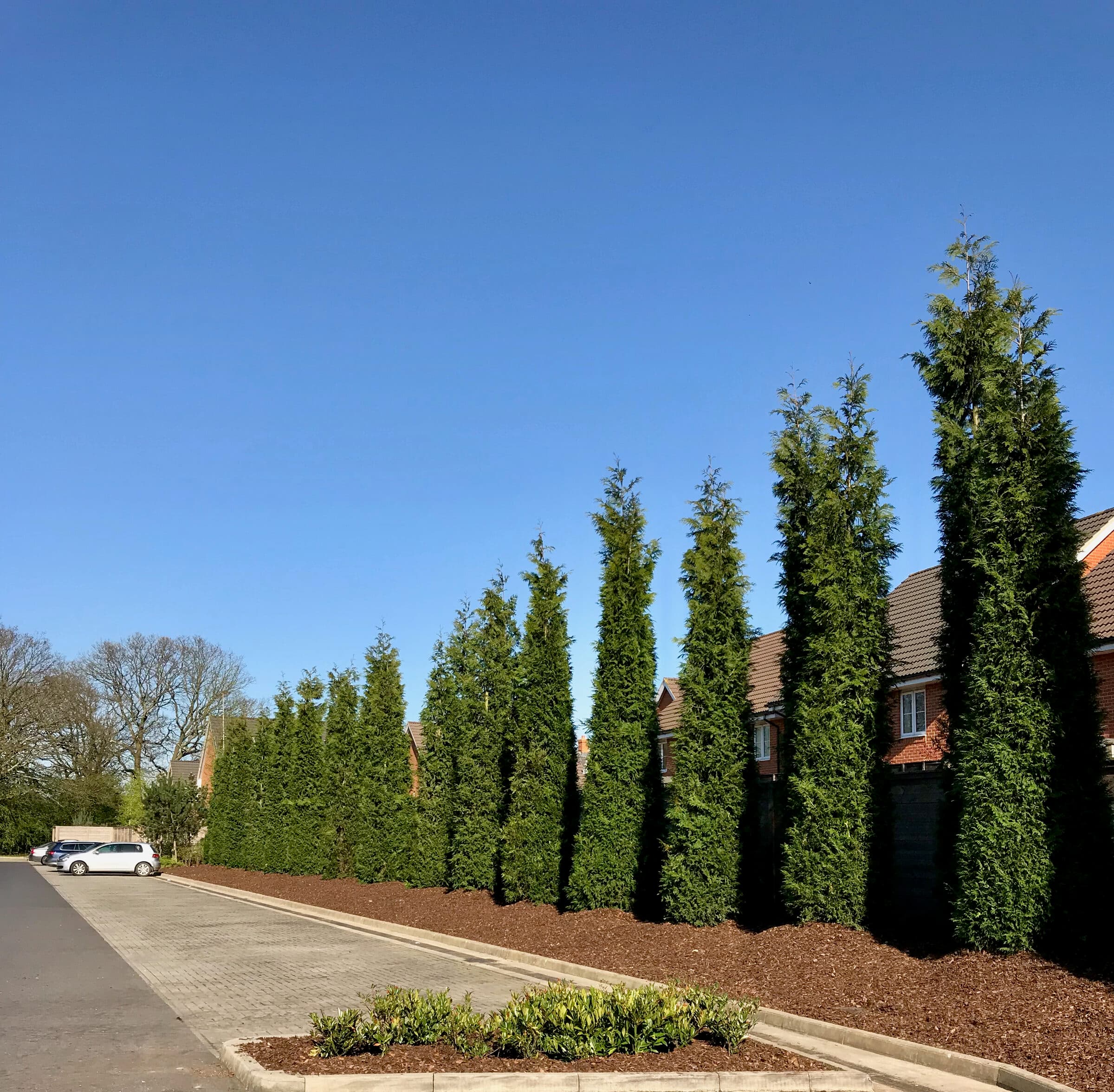 Hedging project by Hedgeworx