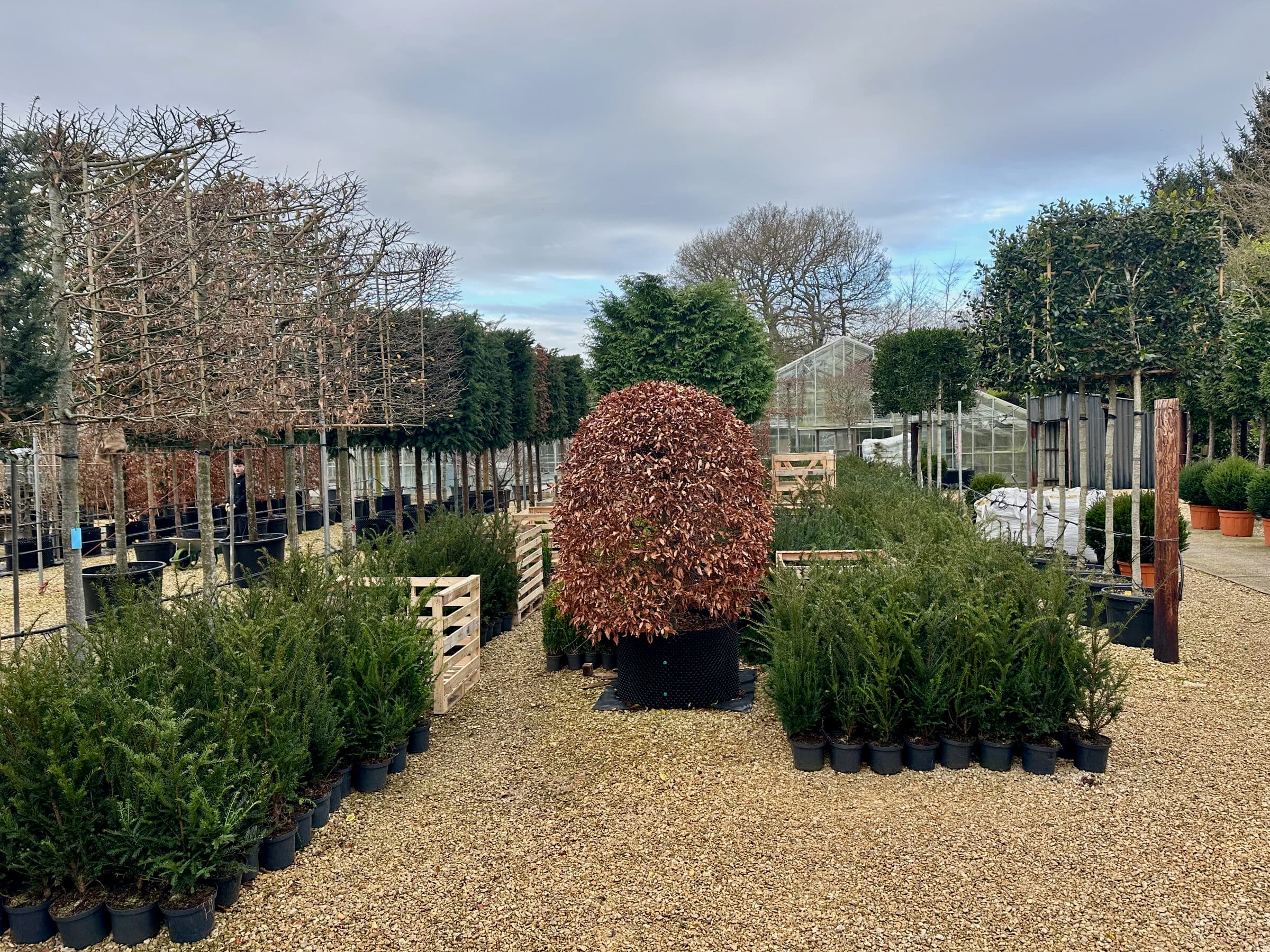 Hedging project by Hedgeworx