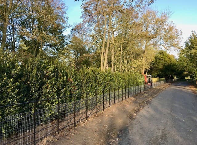 Mature hedge screening along boundary with railings