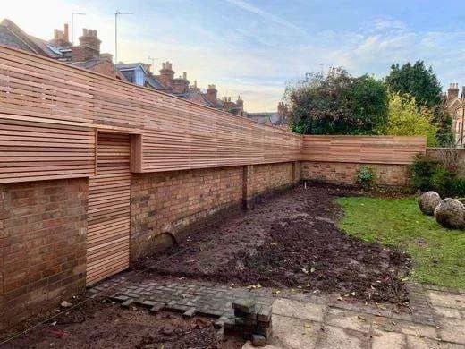 Pleached tree planting project in progress