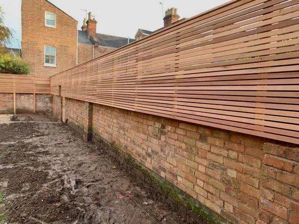 Pleached tree planting showing frame alignment